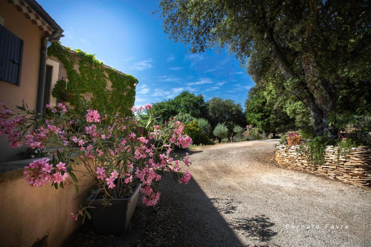 Mas Saint Antoine Villa Bourg-Saint-Andeol Luaran gambar
